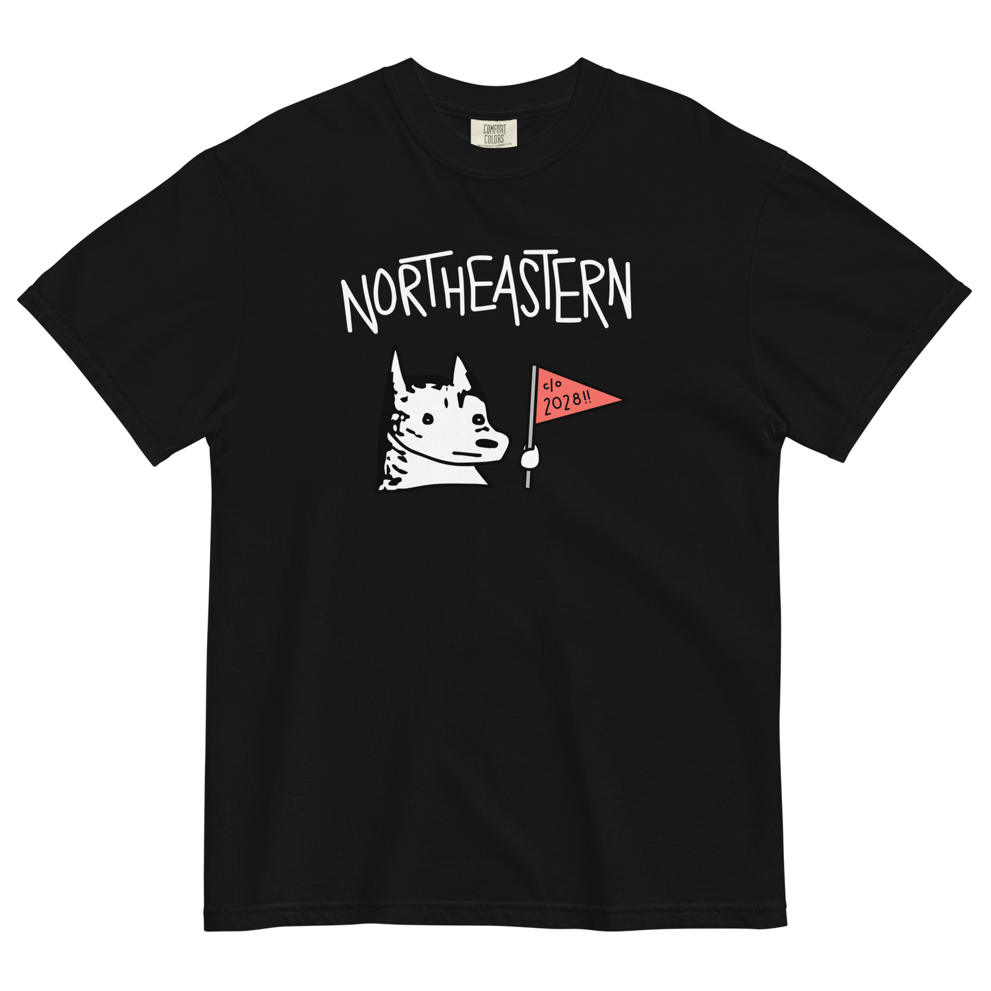 Class of 2028 Heavyweight T-Shirt