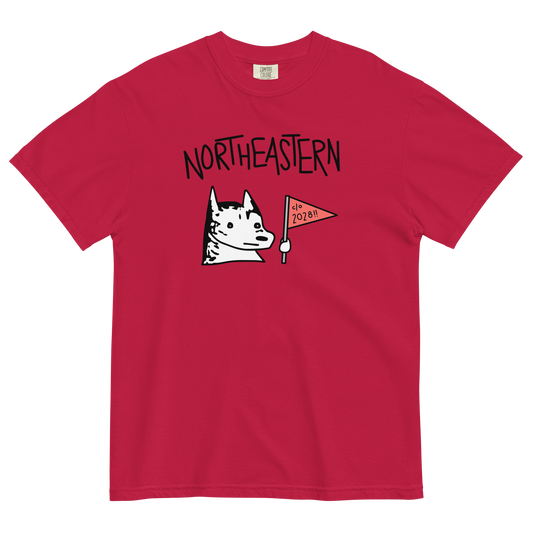 Class of 2028 Heavyweight T-Shirt