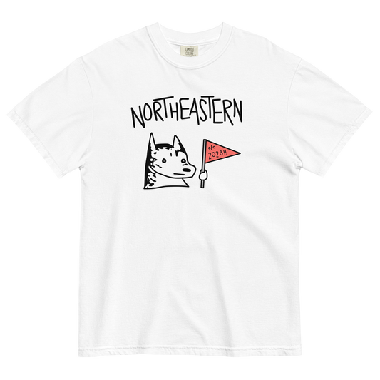 Class of 2028 Heavyweight T-Shirt