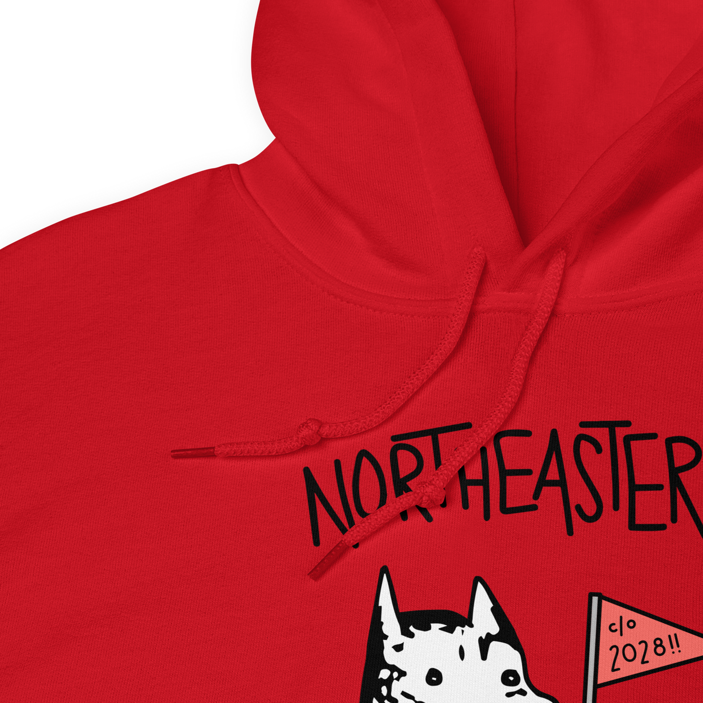 Class of 2028 Hoodie