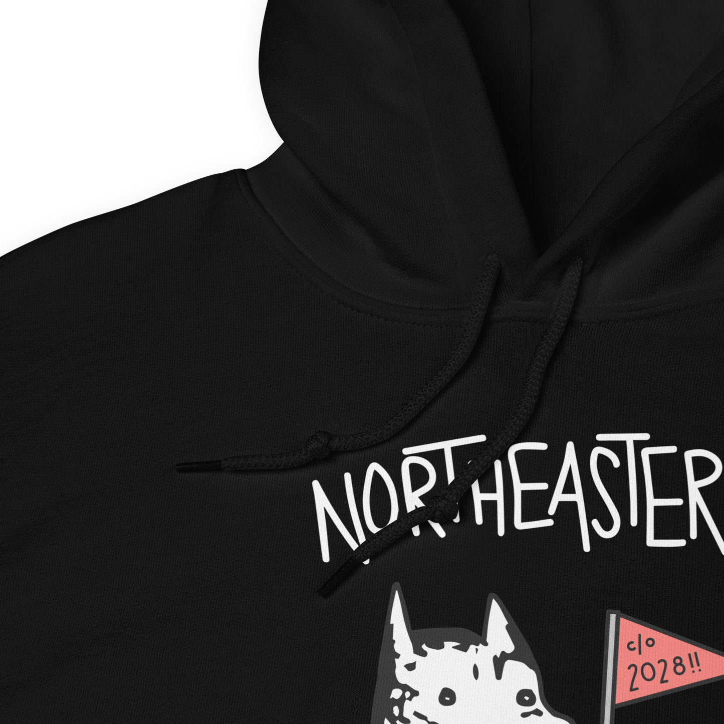 Class of 2028 Hoodie